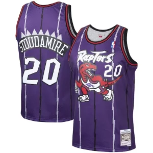 Robusto Carino Cool Damon Stoudamire Toronto Raptors 1995/96 Hardwood Classics Swingman Jersey Purple  per i Fan Veri